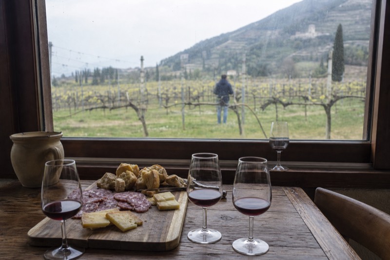 Amarone Half-Day Wine Tasting Tour from Verona