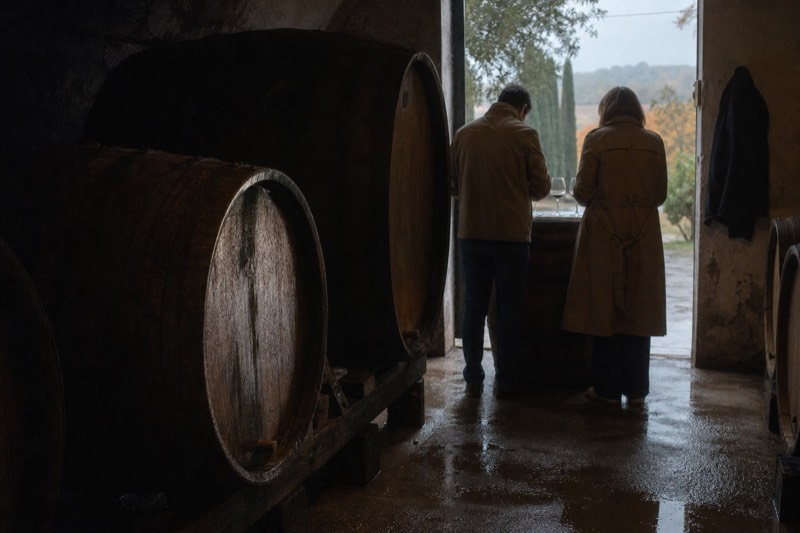 Private Valpolicella and Amarone Full-Day Tour from Verona