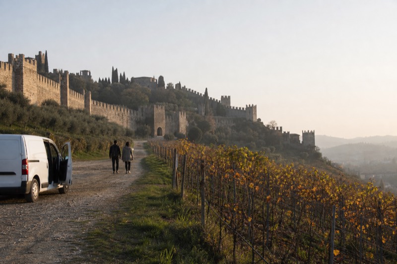 Soave and Amarone Half-Day Tour from Verona