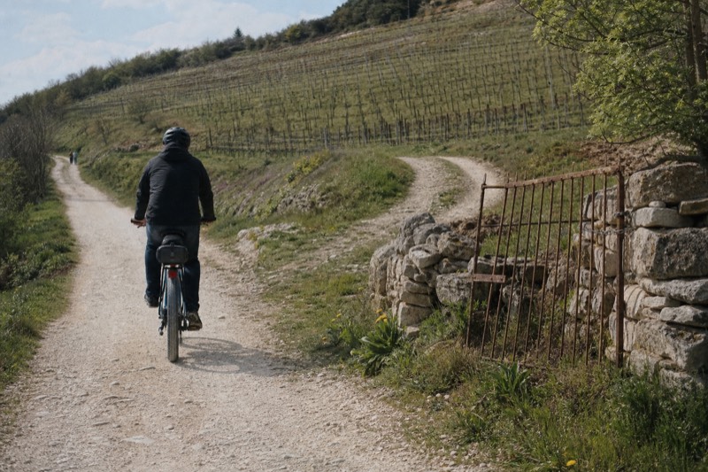 Valpolicella Self-Guided E-Bike Tour with Tastings