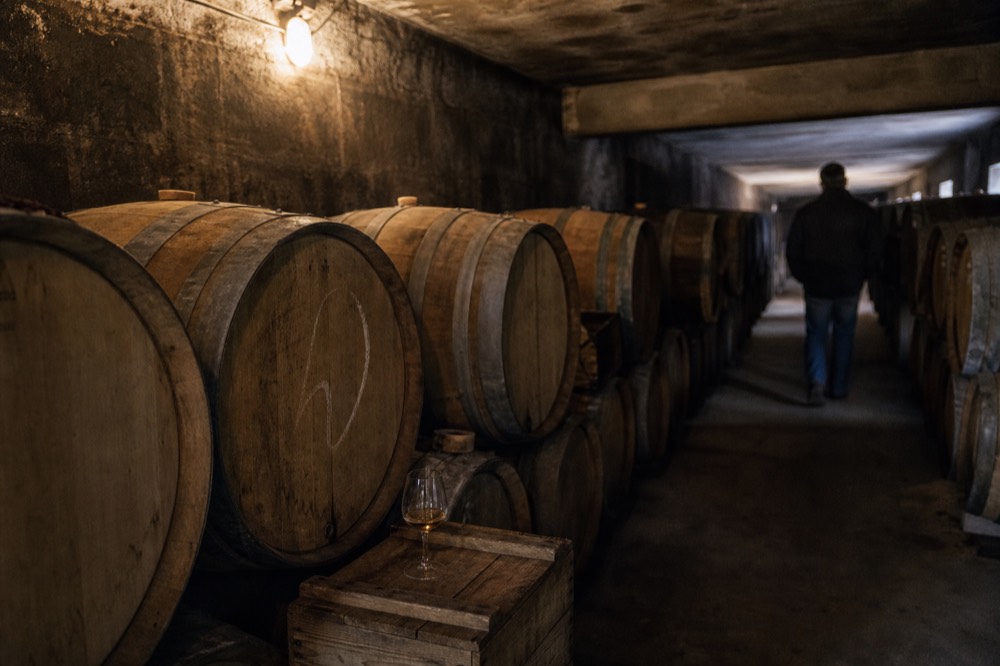 A cellar aisle with oak barrels in a Verona-area winery, no text, no logos, no people
