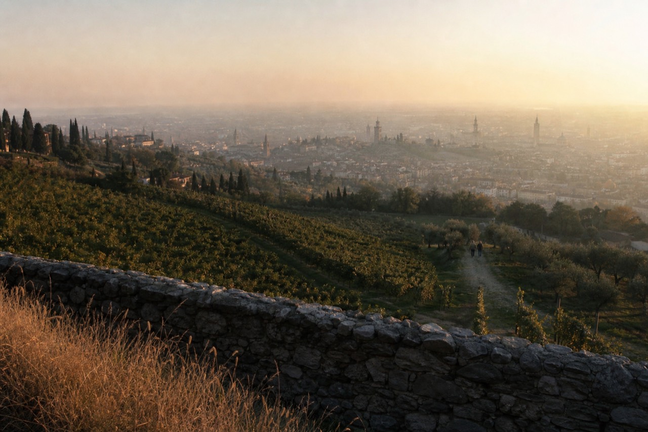 Vineyard hills above Verona at golden hour, no text, no logos, no people