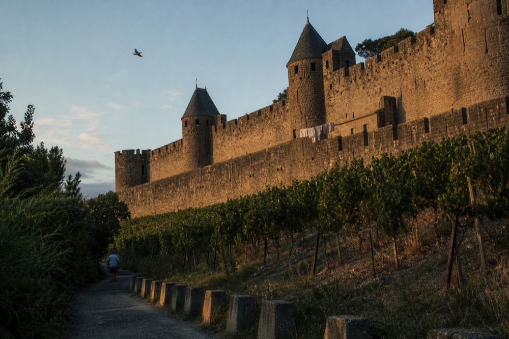 Medieval walls and castle towers of Soave above vineyards, no text, no logos, no people