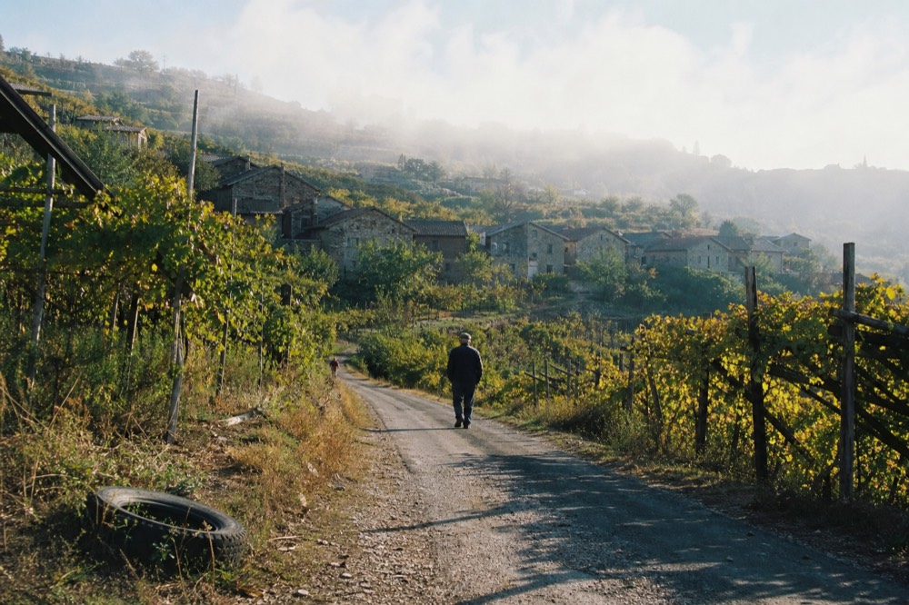 A hillside road through pergola vines leading to a stone hamlet, no text, no logos, no people