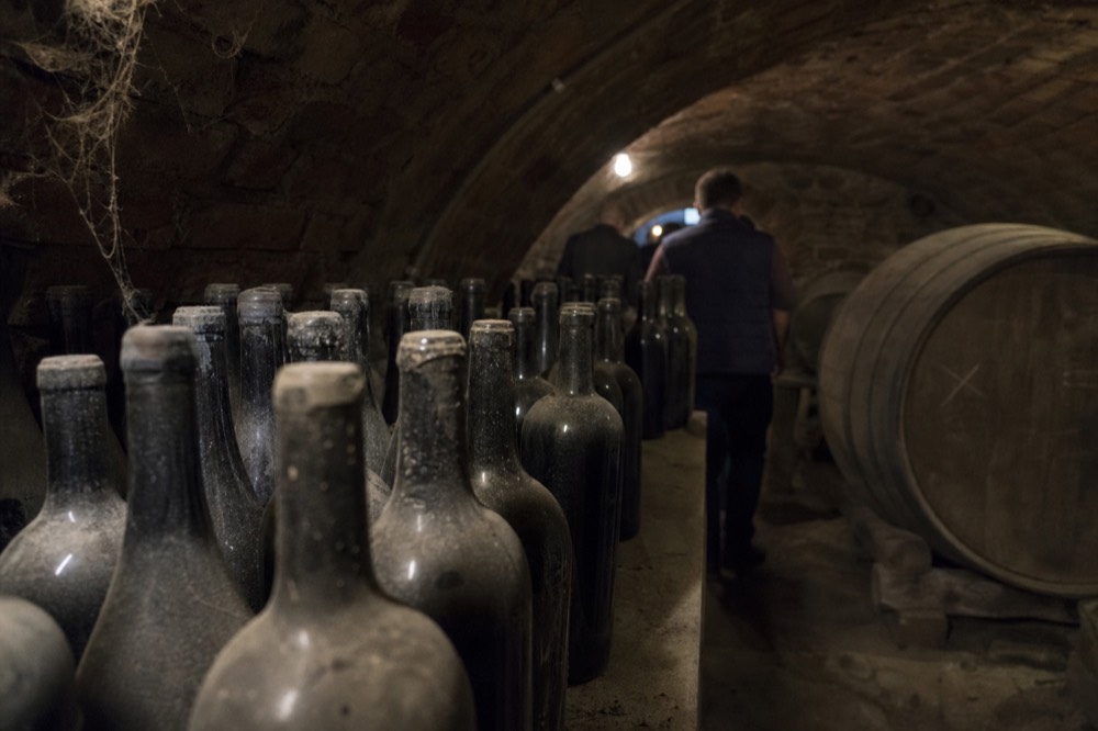 Amarone bottles in a cellar, no text, no logos, no people
