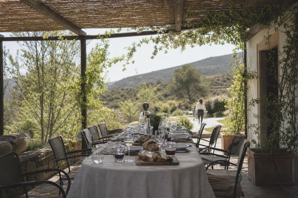 A long table set for lunch with red wine in a Valpolicella agriturismo, no text, no logos, no people