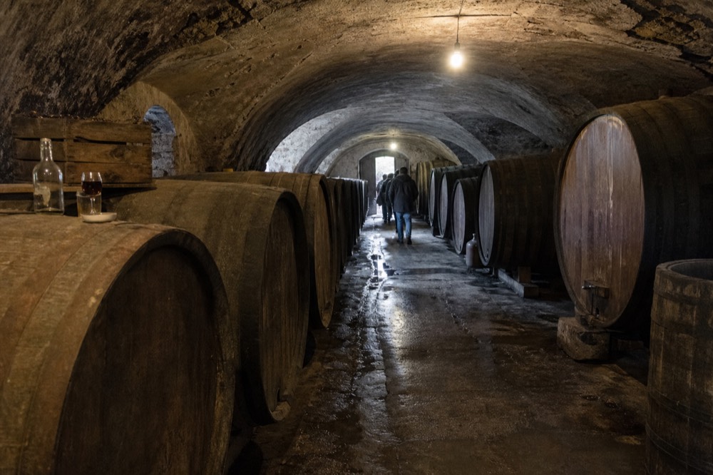 Rows of oak barrels in a dim Valpolicella cellar, no text, no logos, no people