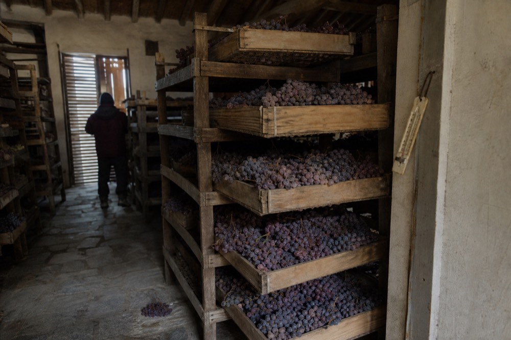 Wooden racks of Corvina grapes drying in a ventilated fruttaio loft, no text, no logos, no people