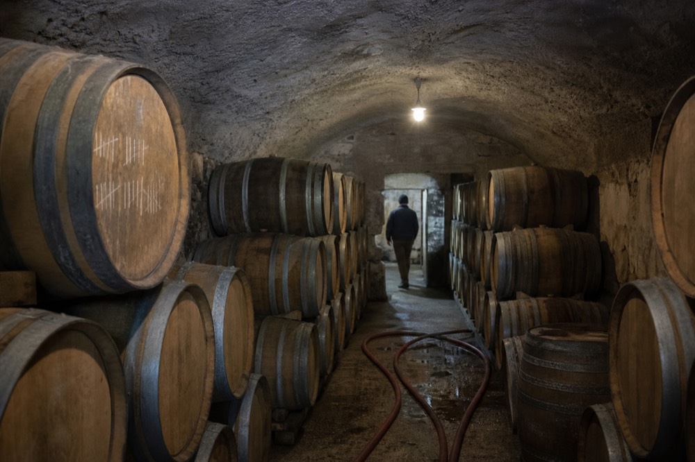 Oak barrels stacked in a Valpolicella aging cellar, no text, no logos, no people