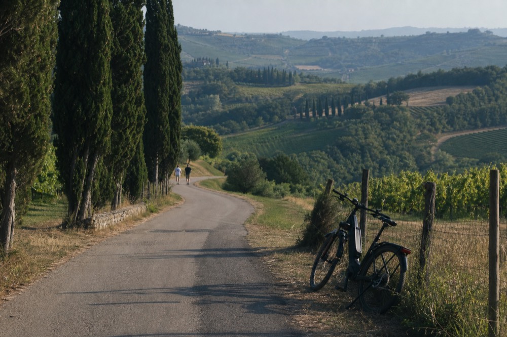 Country road winding through Valpolicella hills, no text, no logos, no people