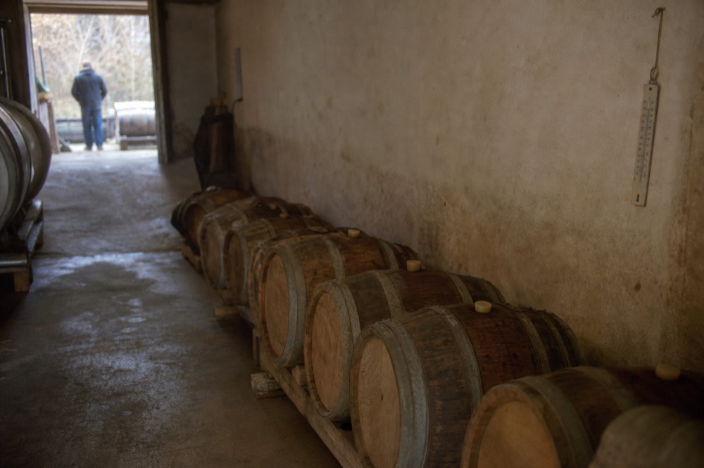 Barrel cellar at a winery in the Bardolino hills, no text, no logos, no people
