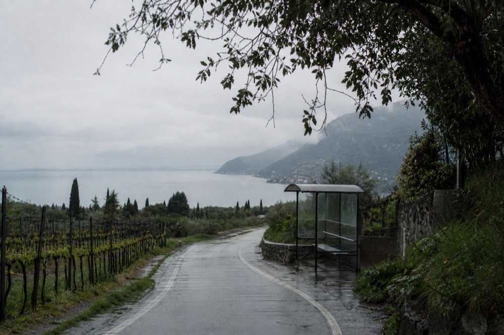 Road winding through vineyards toward the Lake Garda shore, no text, no logos, no people