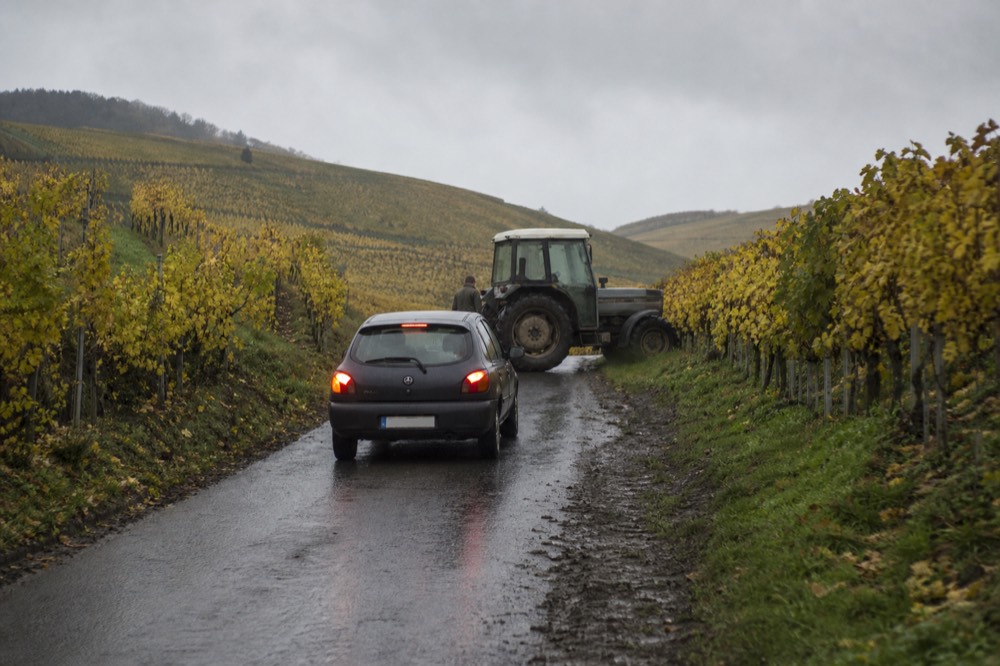 Car on a narrow road through Valpolicella vineyards, no text, no logos, no people
