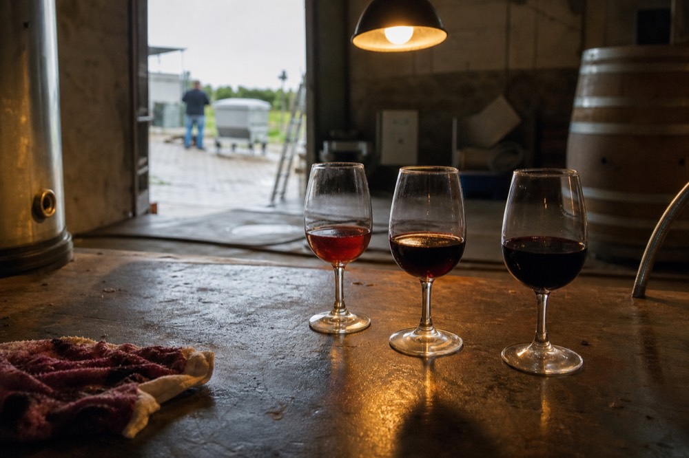 Three wine glasses of Ripasso, Recioto, and Amarone, no text, no logos, no people