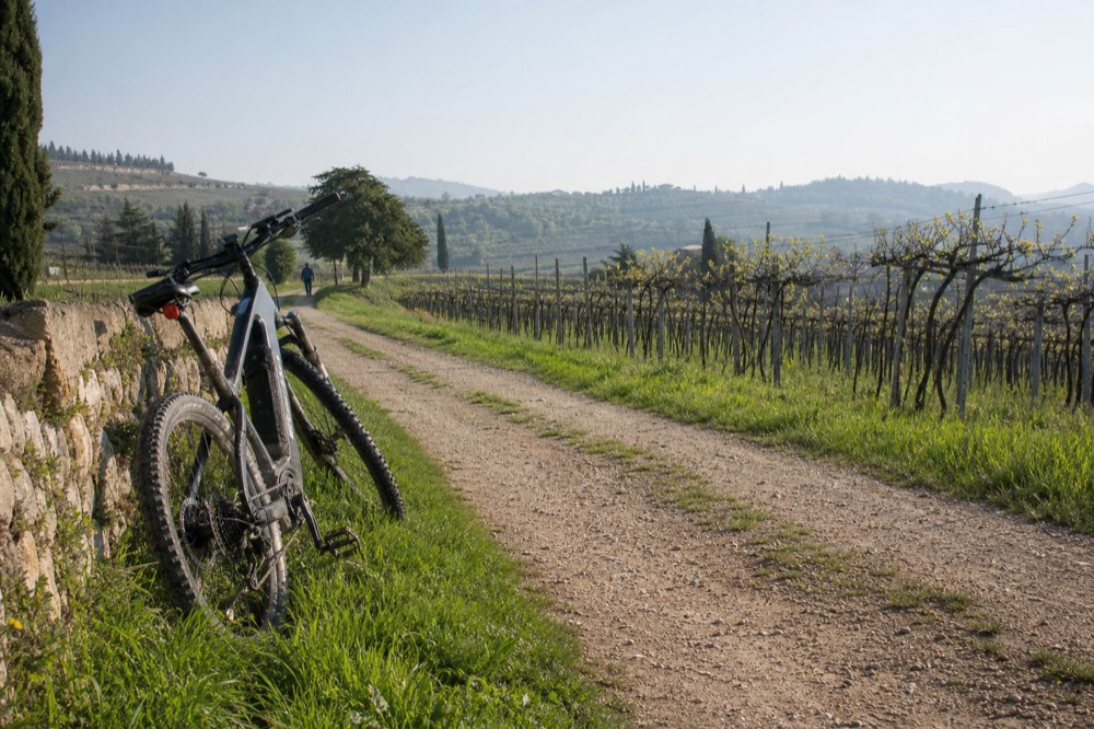 E-bike on a vineyard path in Valpolicella, no text, no logos, no people