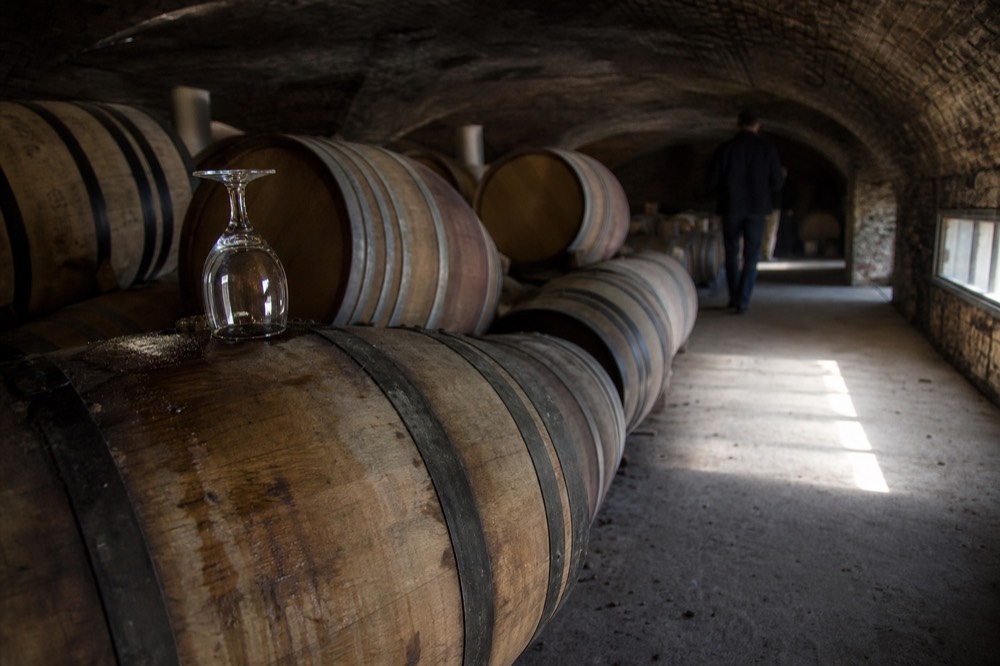 Barrel cellar with oak casks in a Soave winery, no text, no logos, no people