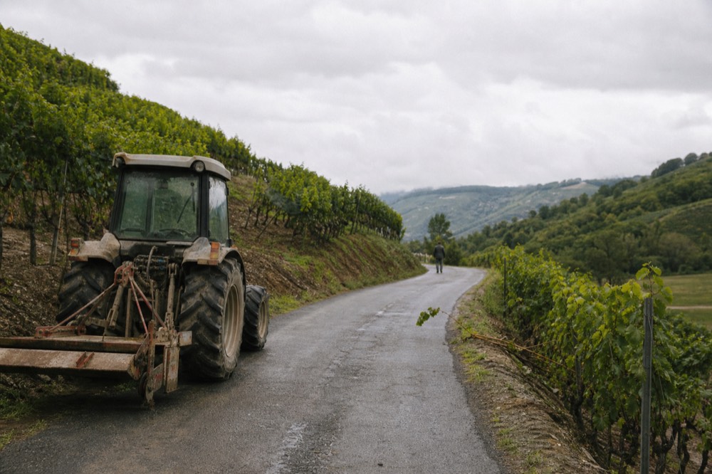 A narrow country road winding through vine-covered hills in Valpolicella, no text, no logos, no people