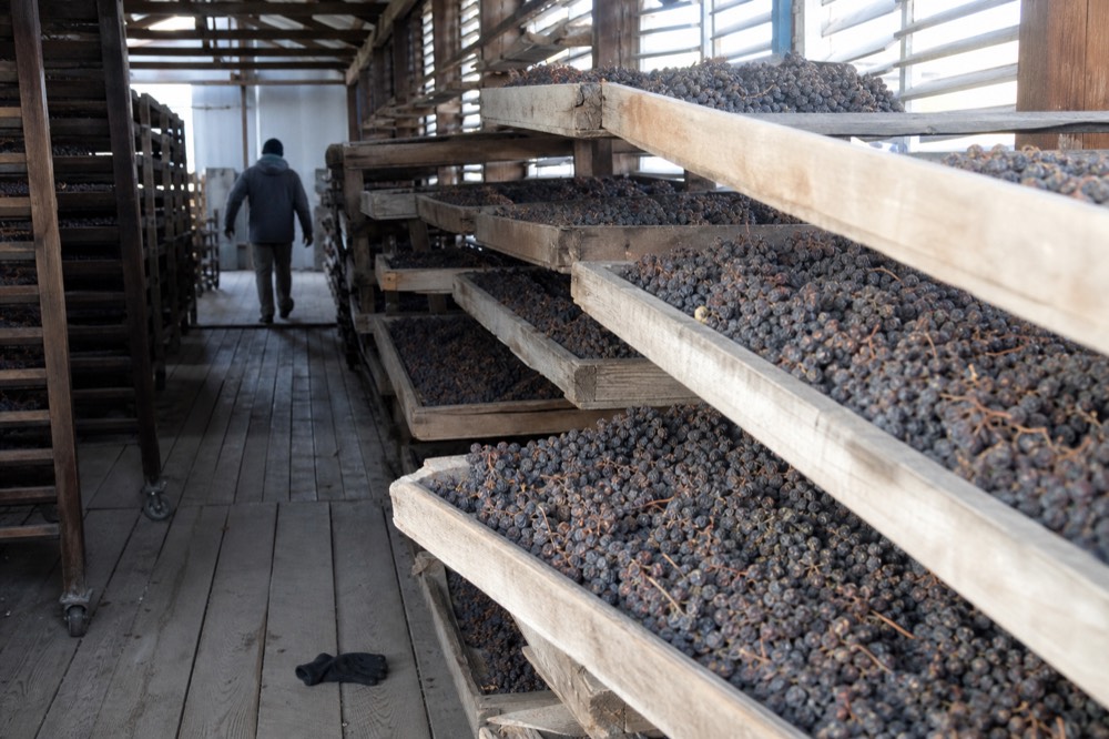 Wooden racks of drying grapes in a ventilated fruttaio, no text, no logos, no people