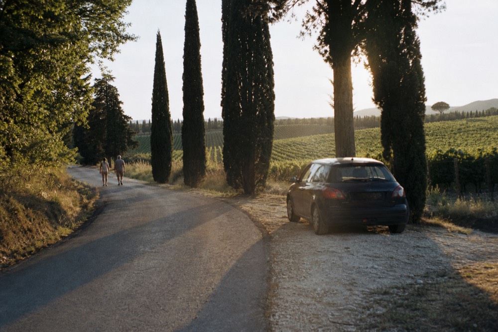 A country road winding between vineyards outside Verona, no text, no logos, no people