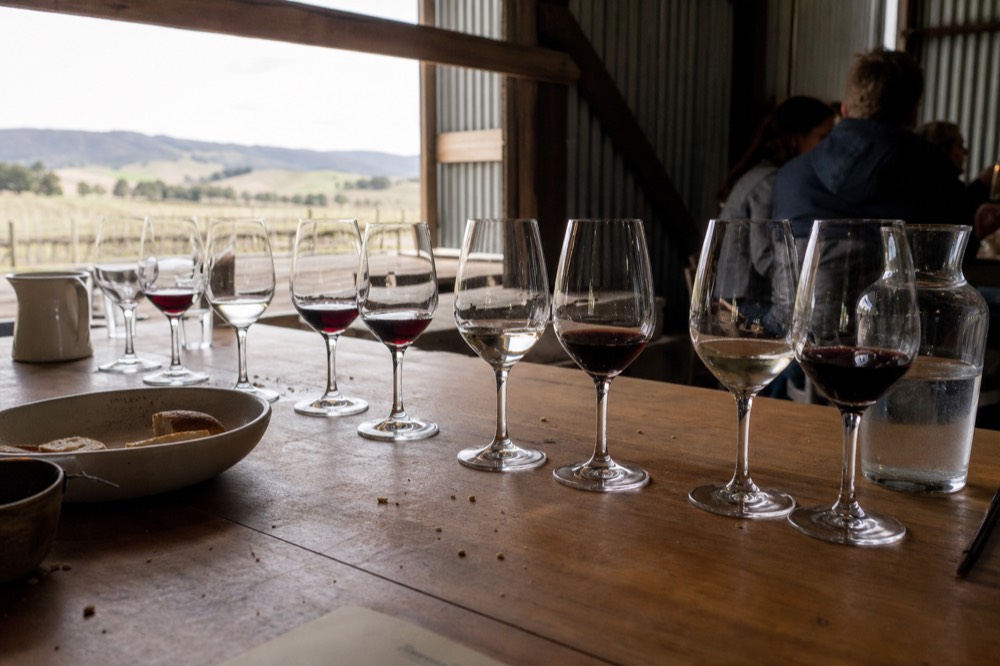 A tasting flight of red and white wines on a winery table, no text, no logos, no people