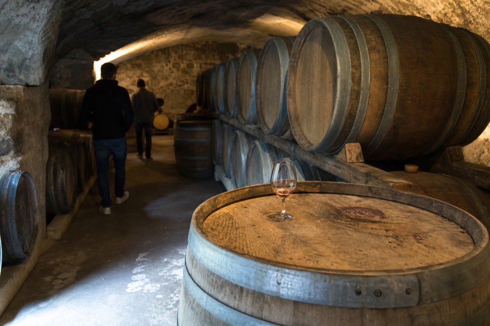 Oak barrels in a historic wine cellar with arched ceilings, no text, no logos, no people