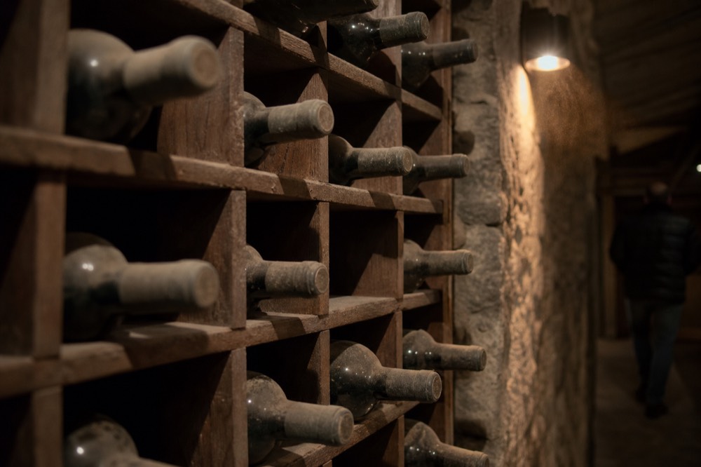 Rows of wine bottles in a cellar rack lit warm, no text, no logos, no people