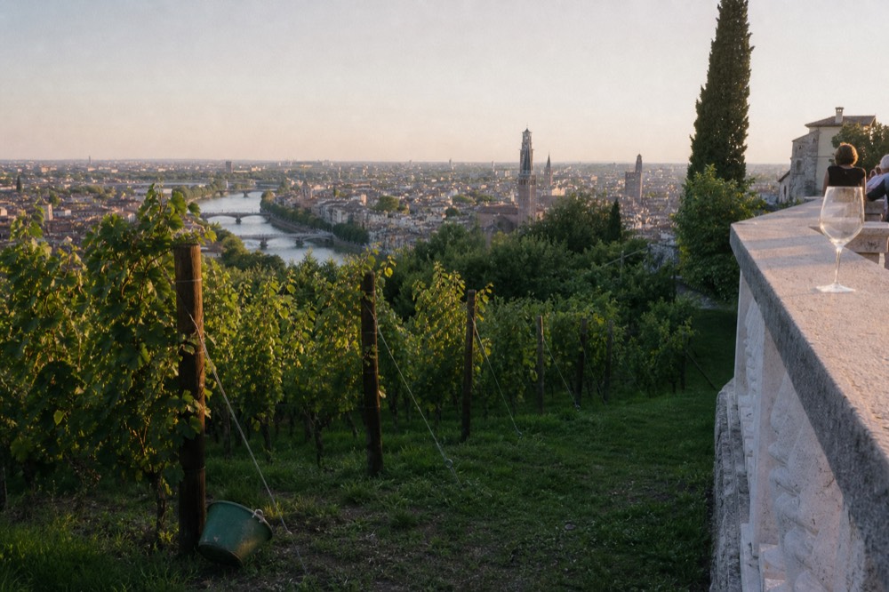 A panoramic terrace overlooking Verona with vineyard rows in the foreground, no text, no logos, no people