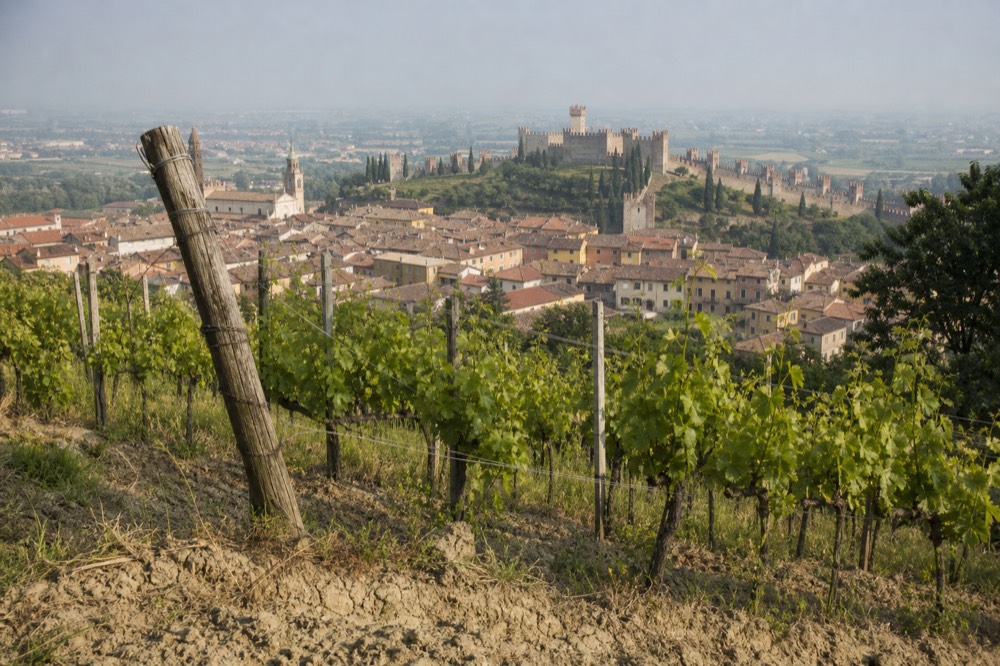 The walled medieval town of Soave seen from terraced vineyards, no text, no logos, no people